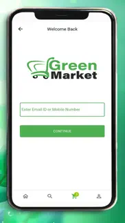 green market problems & solutions and troubleshooting guide - 4