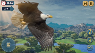 Eagle Bird Wild Life Sim Games Screenshot