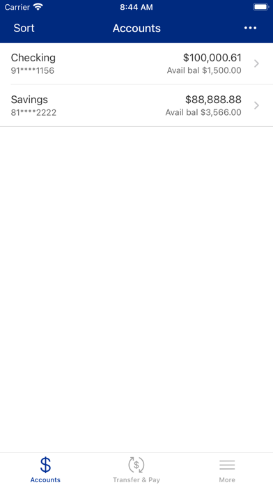 Strip Steel Community FCU Screenshot