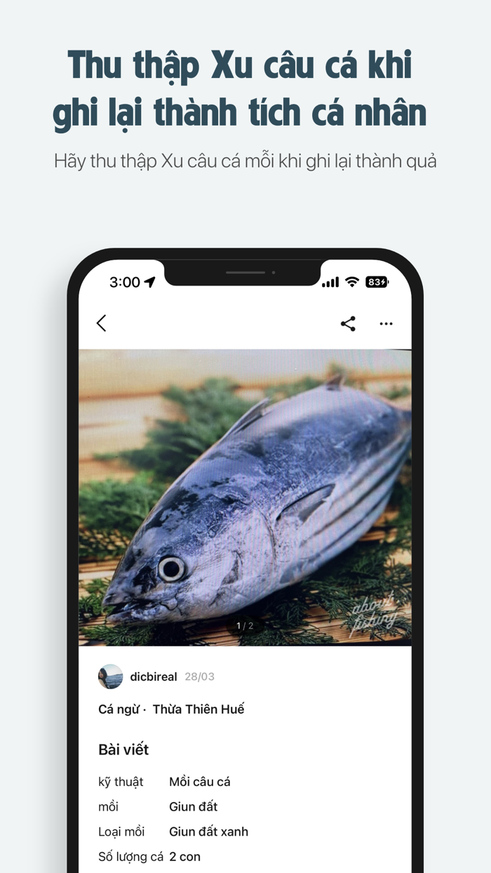 AboutFishing Vietnam