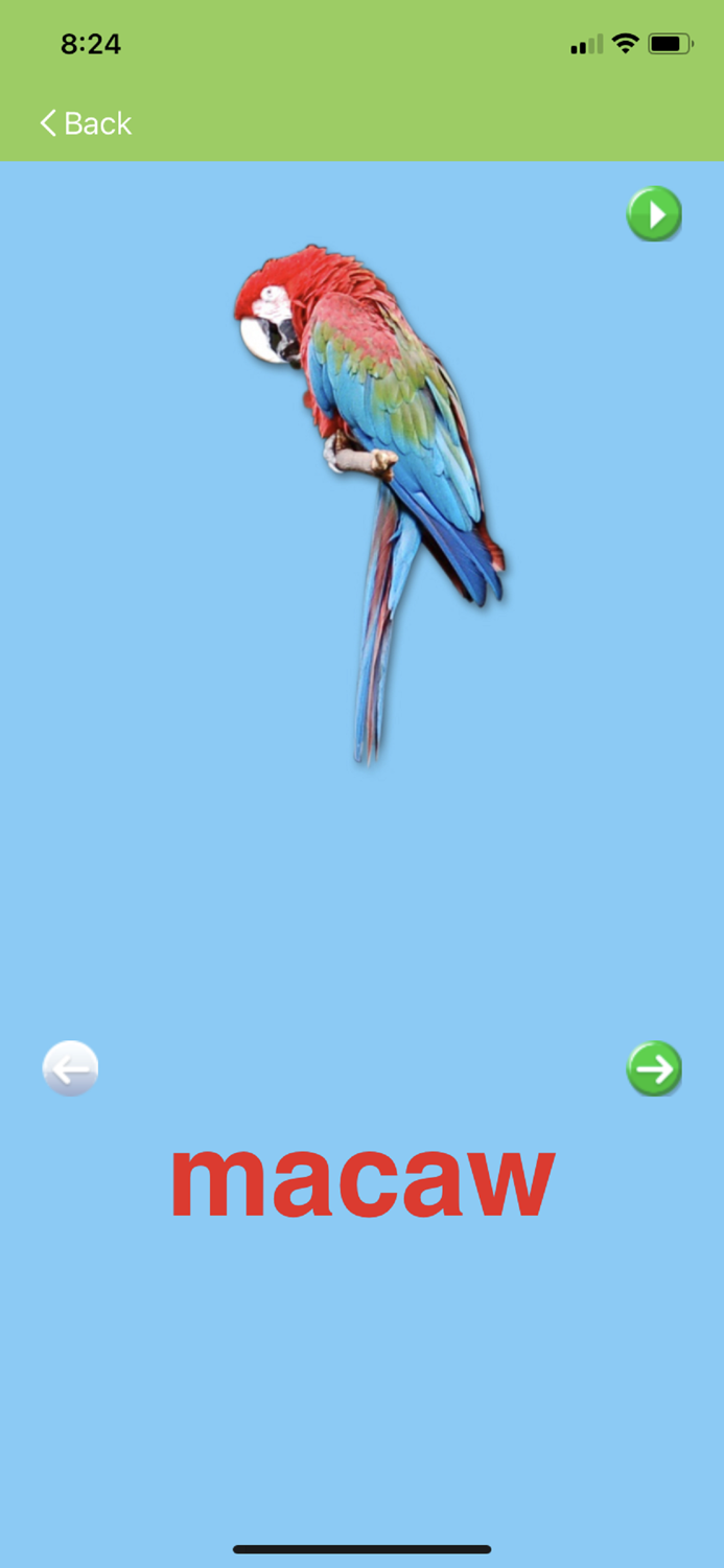 KnowleKids Flashcards