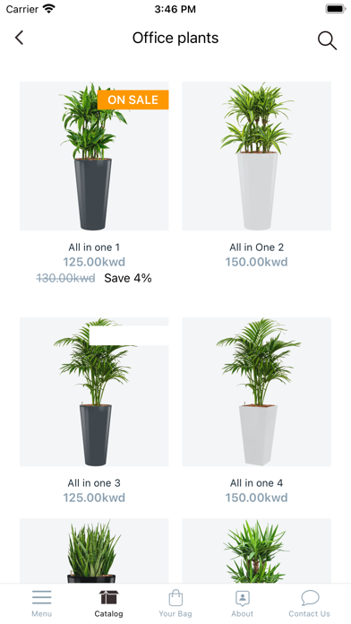Banflowers and more Screenshot