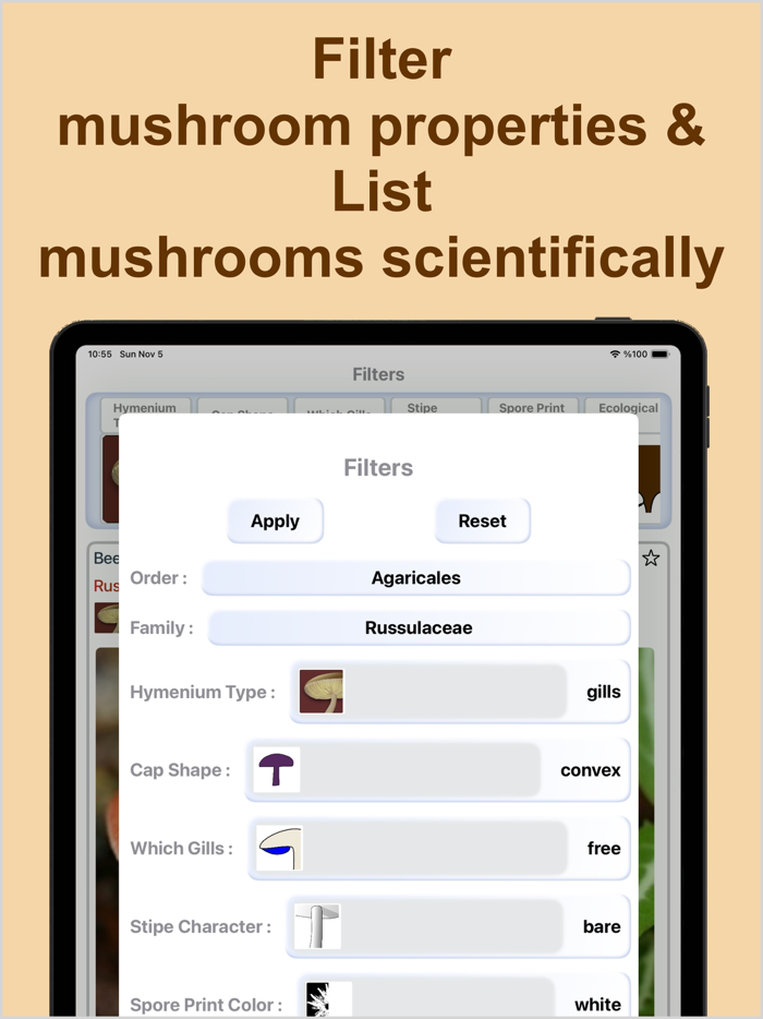 Forest Mushroom Identification