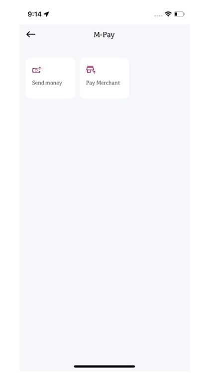 QNB Pay Wallet screenshot-3