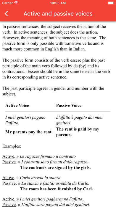 Italian Grammar Screenshot