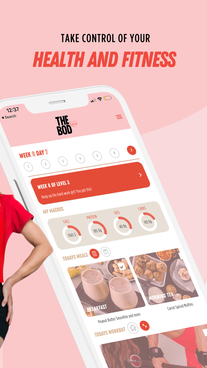 THE BOD By Sophie Guidolin