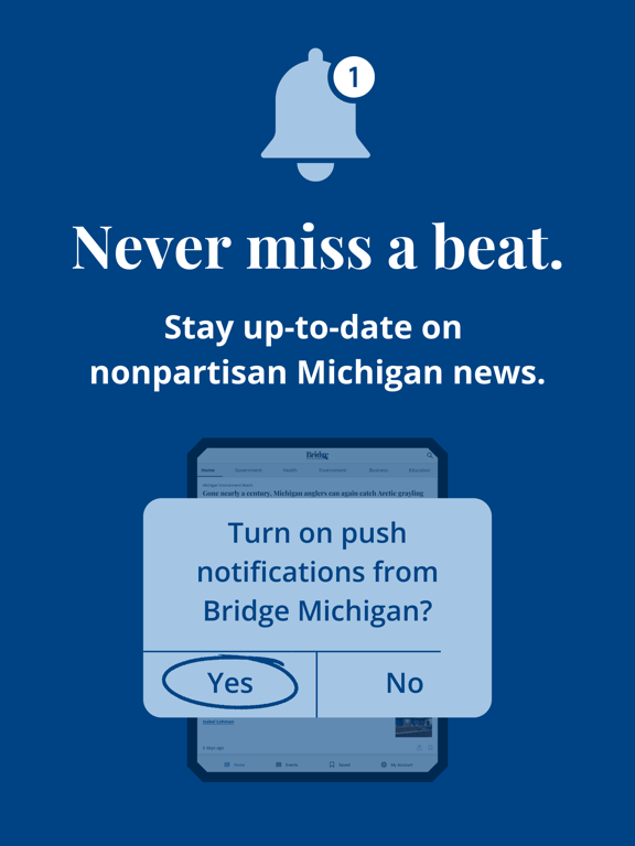 Screenshot #6 pour Bridge Michigan