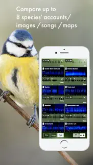 bird songs europe north africa problems & solutions and troubleshooting guide - 3