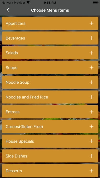 Sadudee Thai Food Screenshot