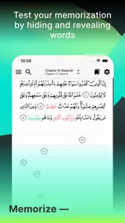 tarteel: quran memorization iphone screenshot 4