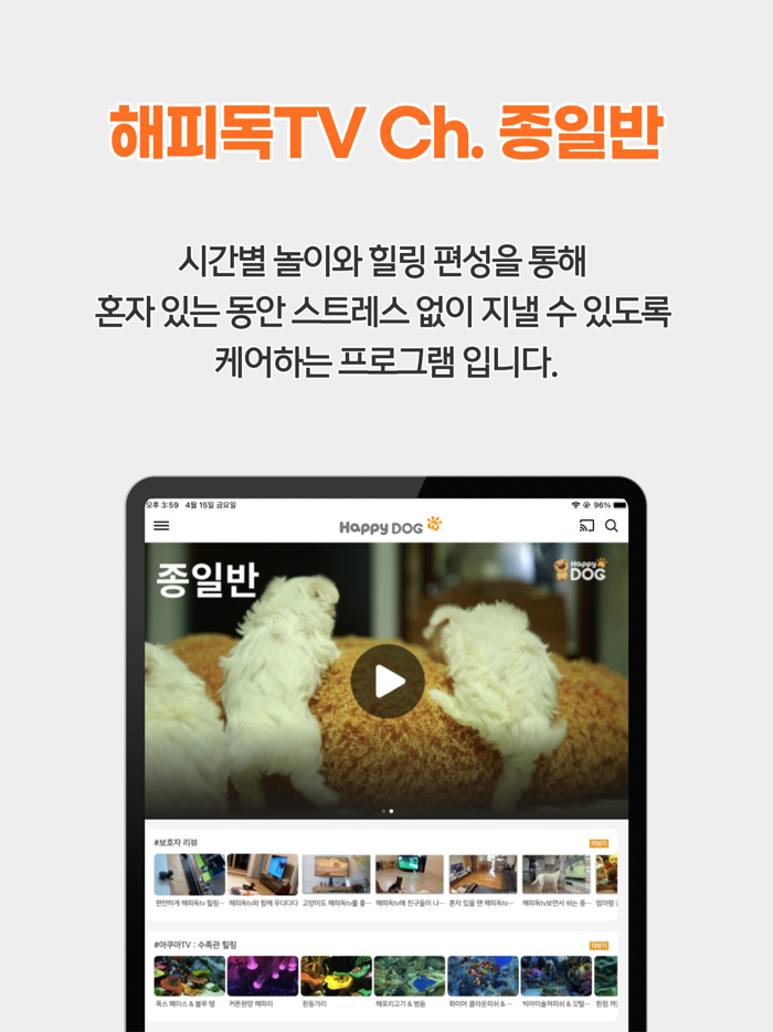 해피독Happy Dog - 우리아이 돌봄 서비스