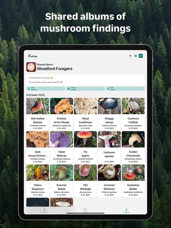 Rostou - Mushroom Guide