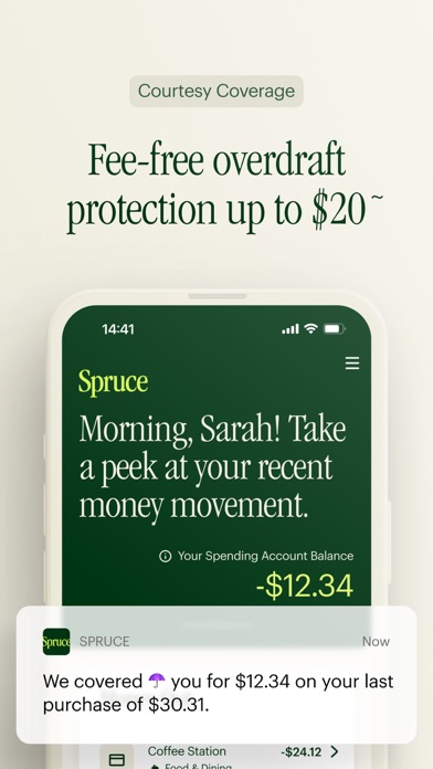 Spruce – Mobile banking Screenshot