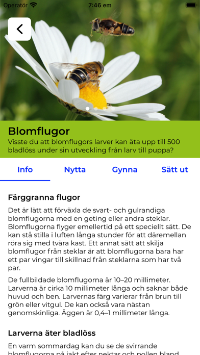 Nyttodjur Screenshot