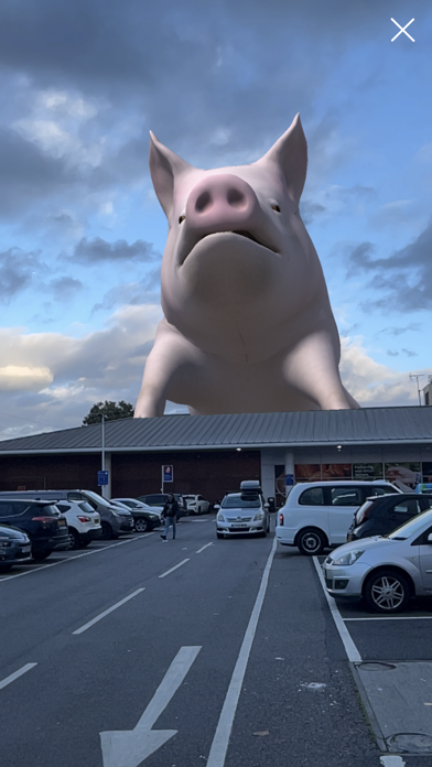 SOW AR Screenshot