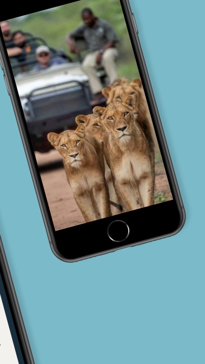 Marula Hill Travel screenshot-4