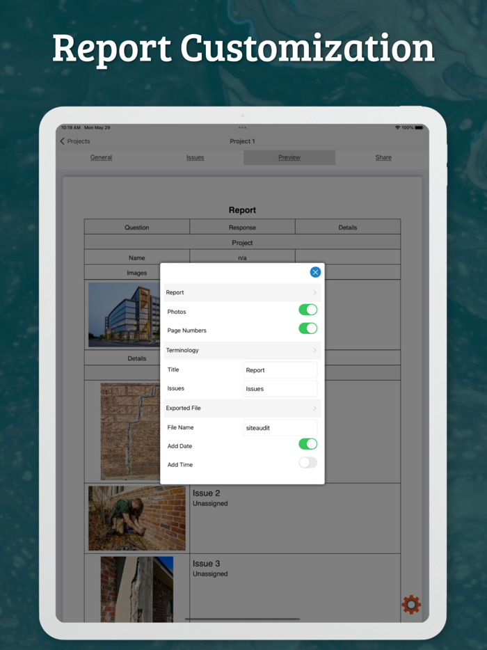 Site Audit - Punch Snag Lists