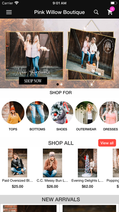 Pink Willow Boutique Screenshot