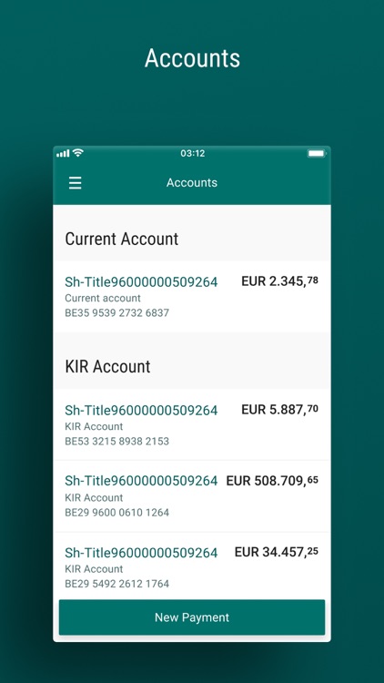 ABN AMRO Belgium PB screenshot-5