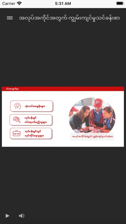 Employability Skills screenshot-3