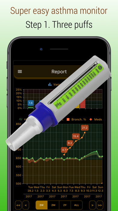 Peflog - asthma tracker Screenshot