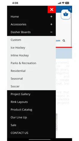 Game screenshot Rink Systems hack