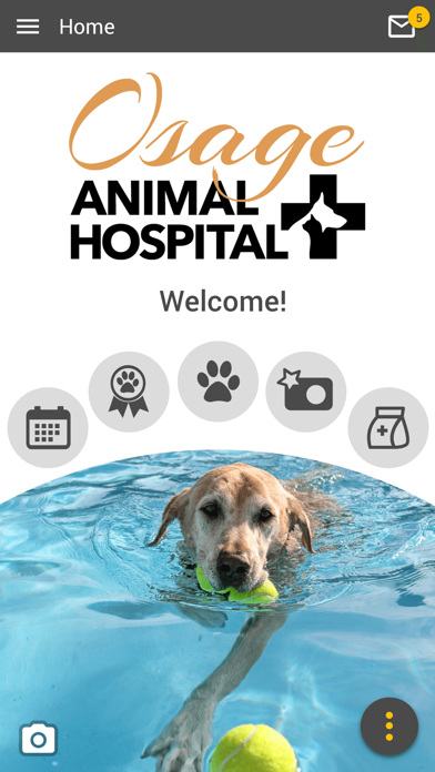 Osage Animal Hospital Screenshot