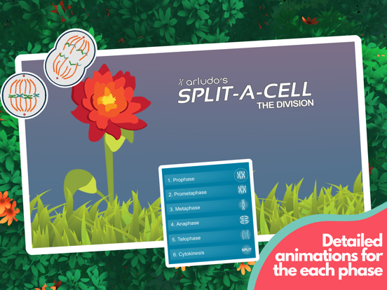 Split-A-Cellのおすすめ画像4