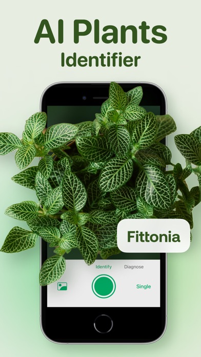 AI Plant Identifier - Plant ID Screenshot