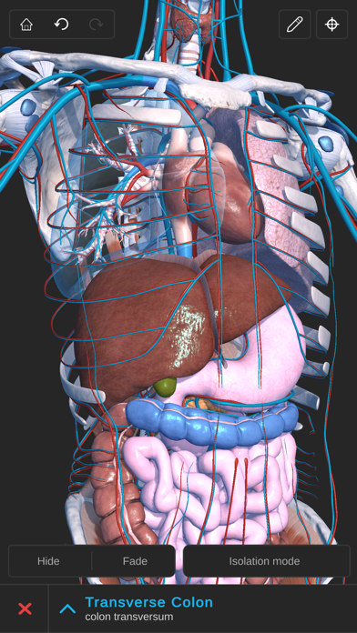 Visual Anatomy 3D - Humanのおすすめ画像5