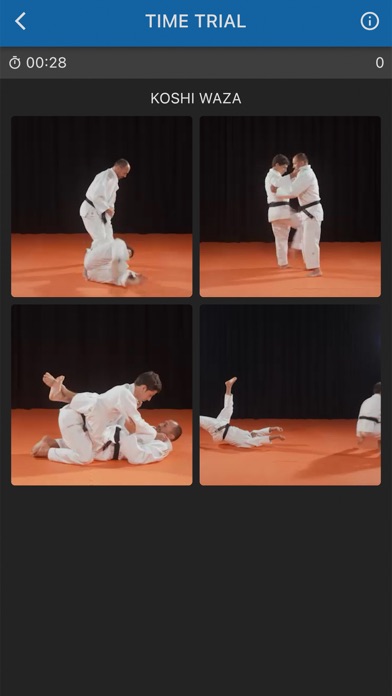 Judokai lite Screenshot