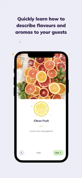 Game screenshot Knowbie - Beverage Training hack