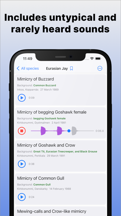 Bird Sounds of Northern Europe Screenshot