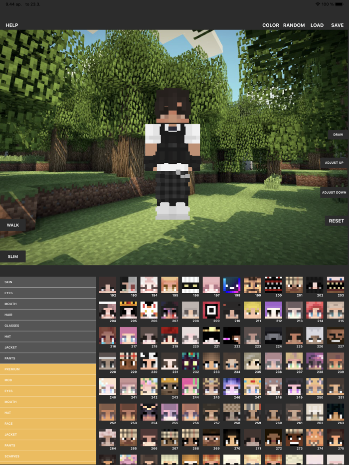 Custom Skin Creator