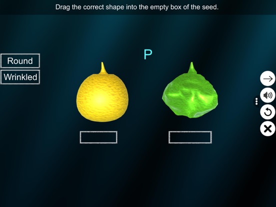 Screenshot #5 pour Dihybrid cross