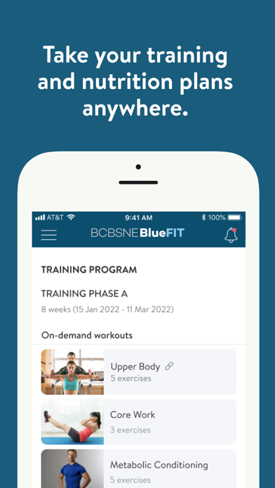 BCBSNE BlueFit Screenshot