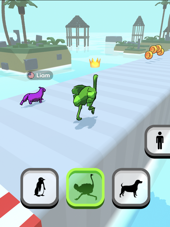 Shape Shifter Animals Race