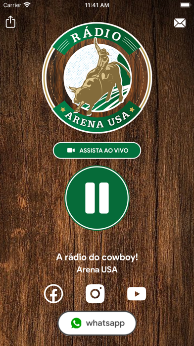 Arena USA Screenshot