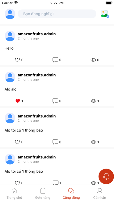 Amazon Fruits Screenshot