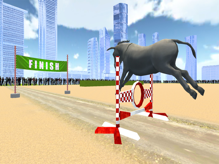 Jumping Donkeys Champions