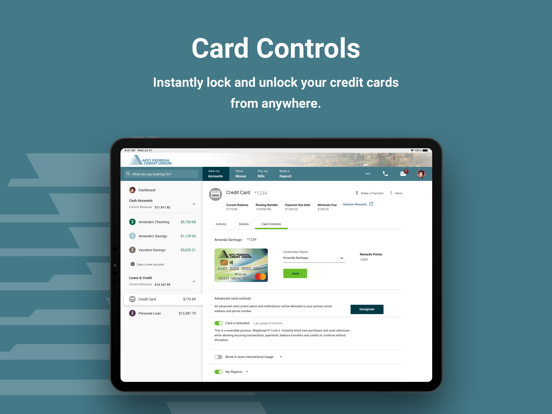APCI eBanking iPad screenshot 5 - Finance app