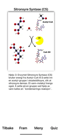 Game screenshot KrebsSyklus apk