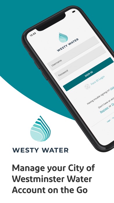 Westy Water Screenshot