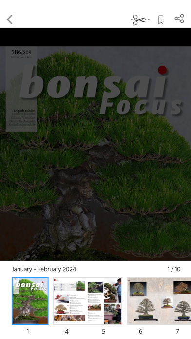Screenshot #2 pour Bonsai Focus EN