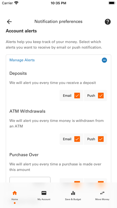 Money Network Mobile App Screenshot