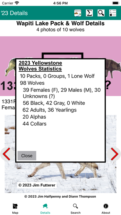 Yellowstone Wolves 2023 Screenshot