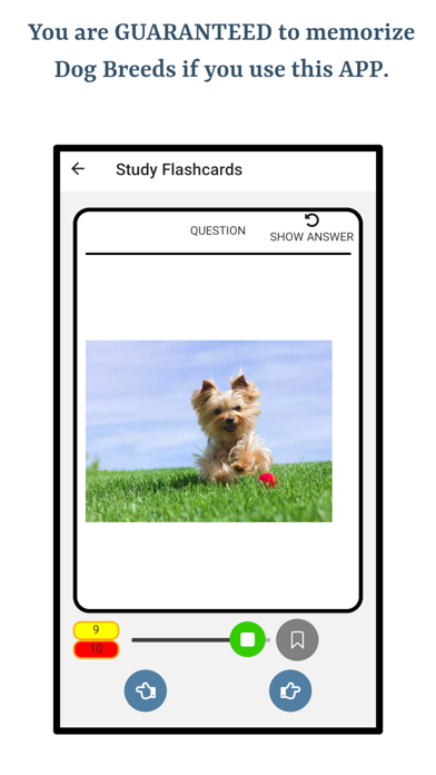 Learn About Dog Breeds Screenshot