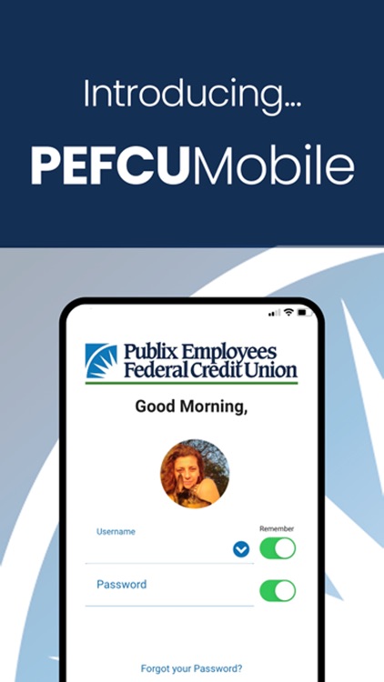 Publix Employees Federal Credit Union Online Banking