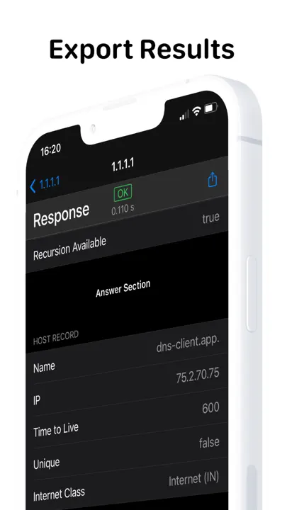 DNS Client iPhone-skjermbilde 5