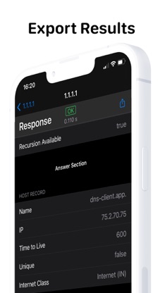 DNS Client screenshot 5